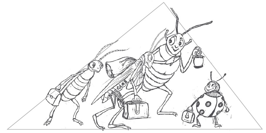 b6